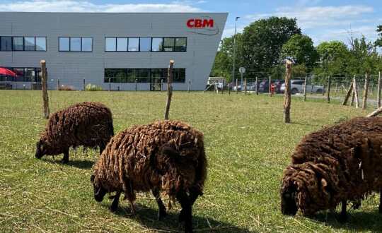 CBM: Ovejas ecopodadoras